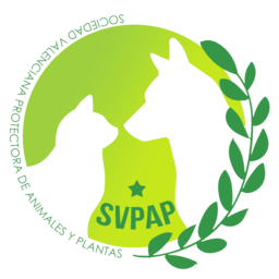 Logo SVPAP